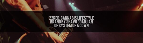 22Red Shavo Odadjian of System Of A Down