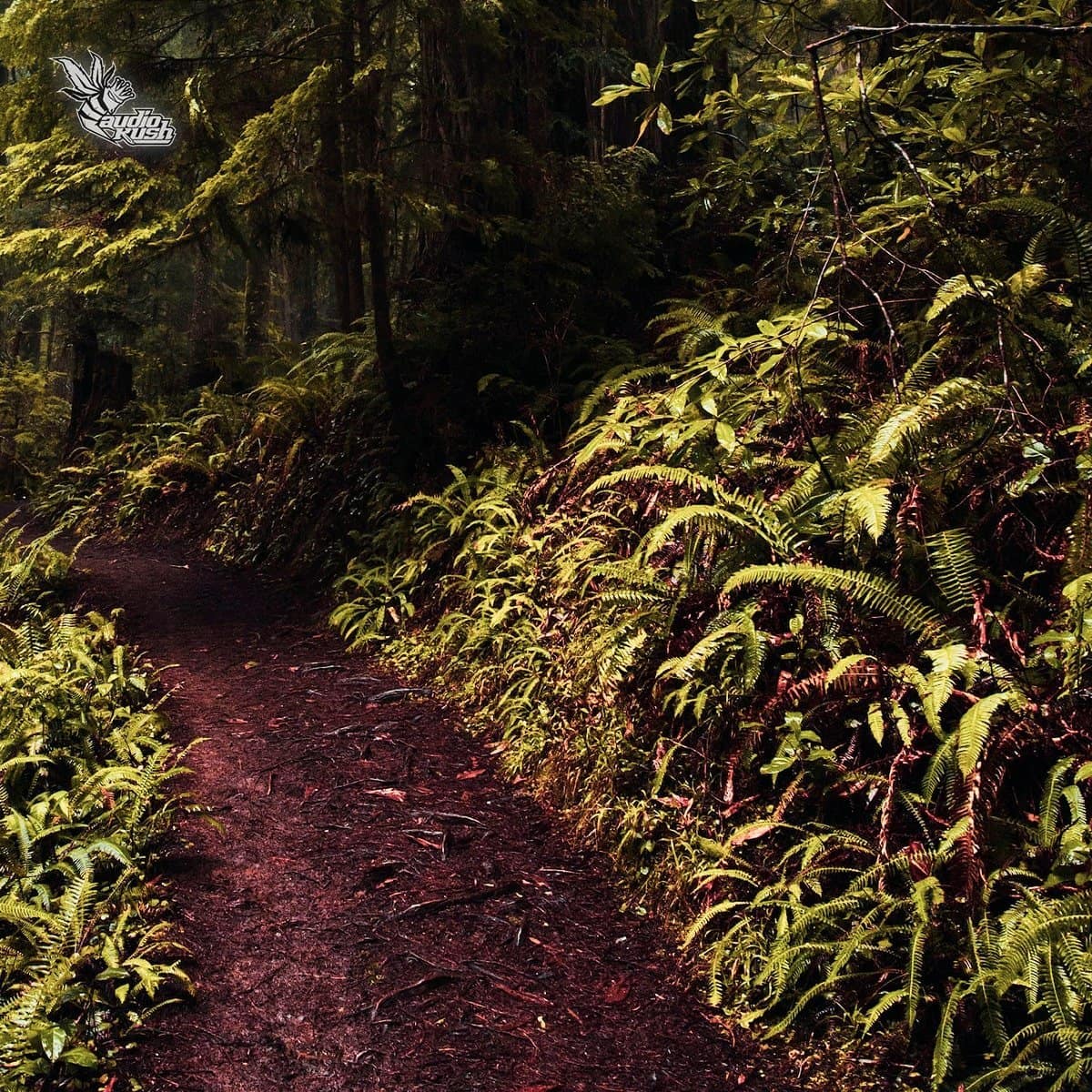 5 best activities to do while stoned on cannabis - go on an adventure