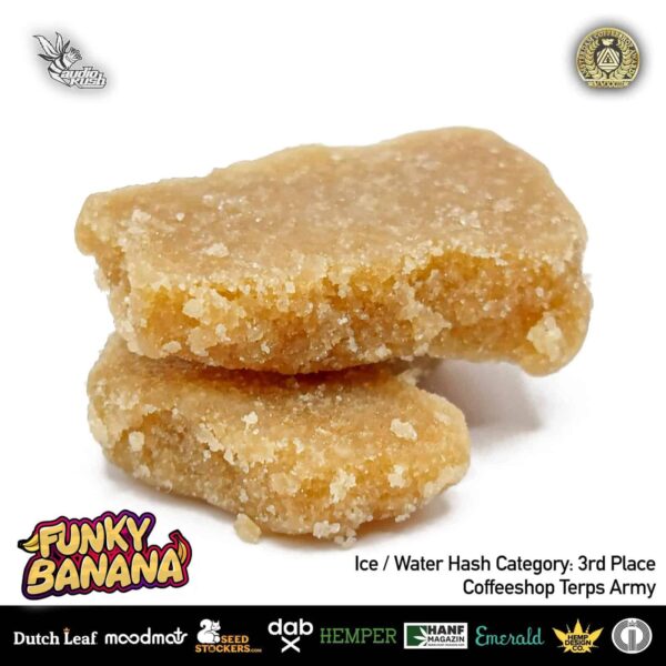 Funky Banana Hash by Coffeeshop Terps Army, 3rd Place Ice/ water hash Category, Amsterdam Coffeeshop Awards 2024