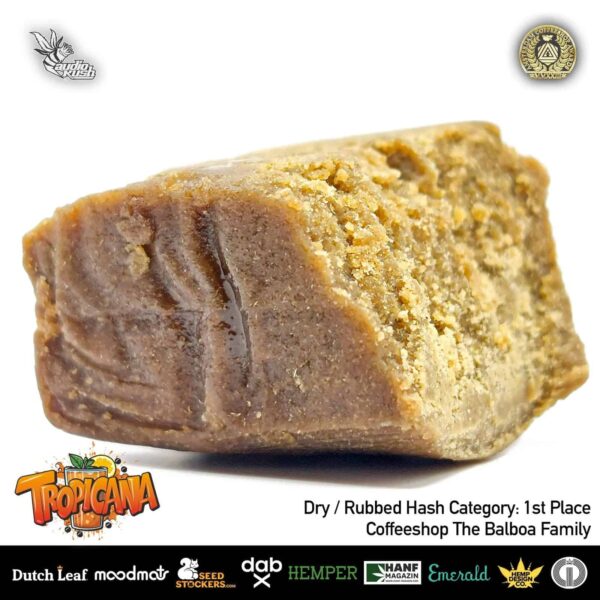 Tropicana Hash by Coffeeshop the Balboa Family, 1st Place, dry / rubbed hash Category, Amsterdam Coffeeshop Awards 2024