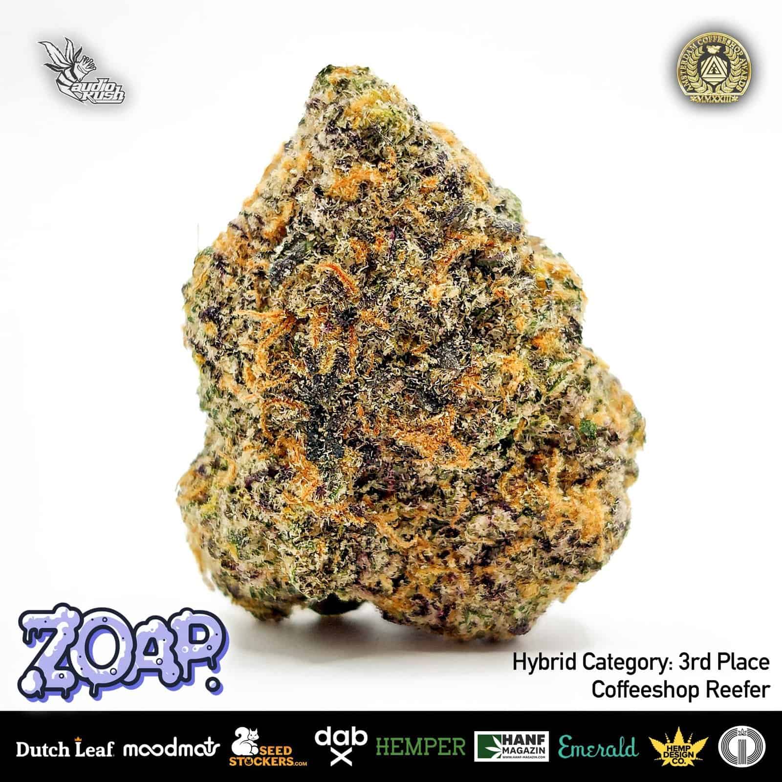 Vibrant cannabis bud with purple and orange hues, coated in trichomes, isolated on white background, representing premiumquality hybrid strains for connoisseurs.