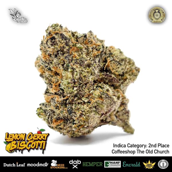 Lemon Cherry Biscotti Flower by Coffeeshop The Old Church, 2nd Place, Indica Category, Amsterdam Coffeeshop Awards 2024