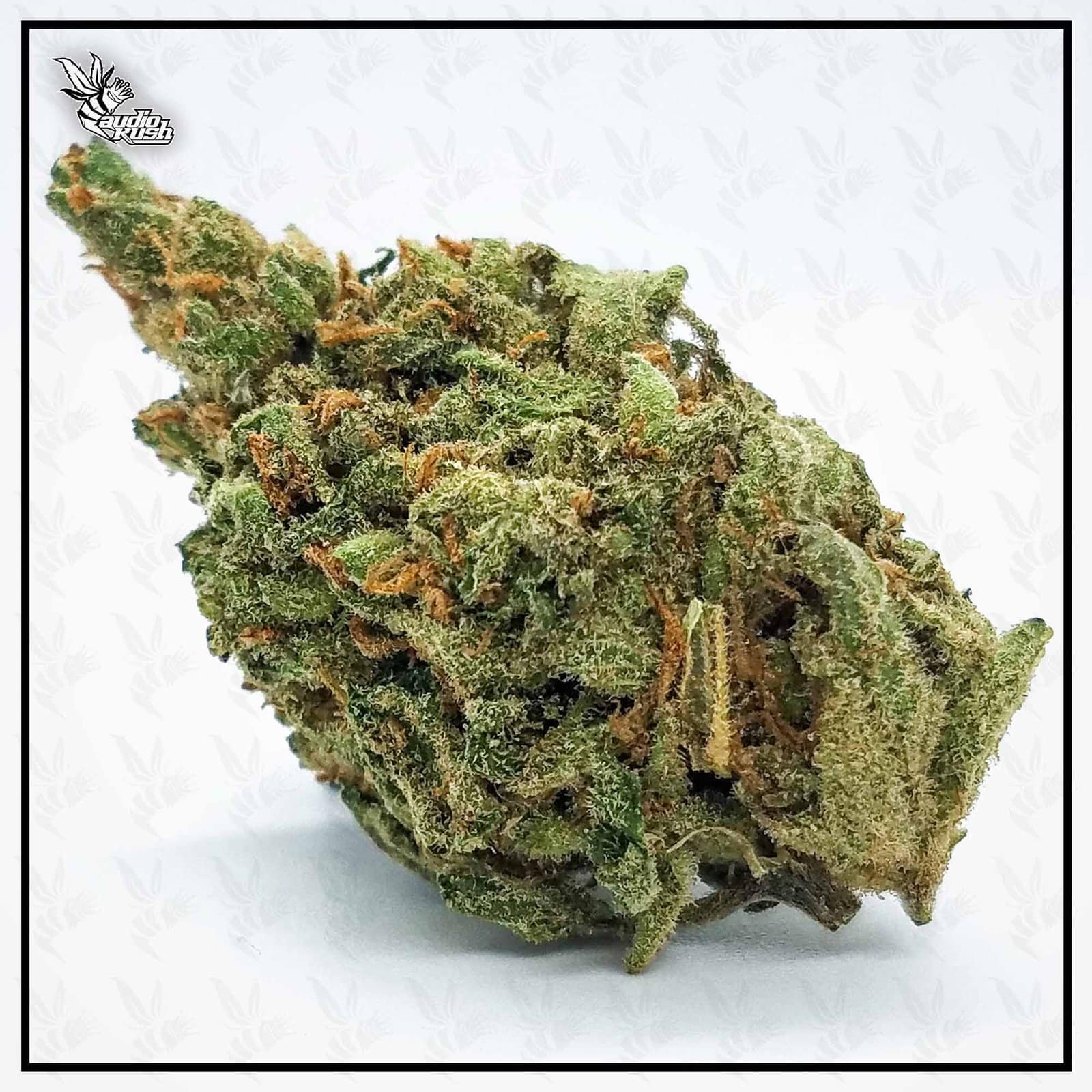 AK47 - Coffeeshop Dreadlock Nijmegen - April 20 2020