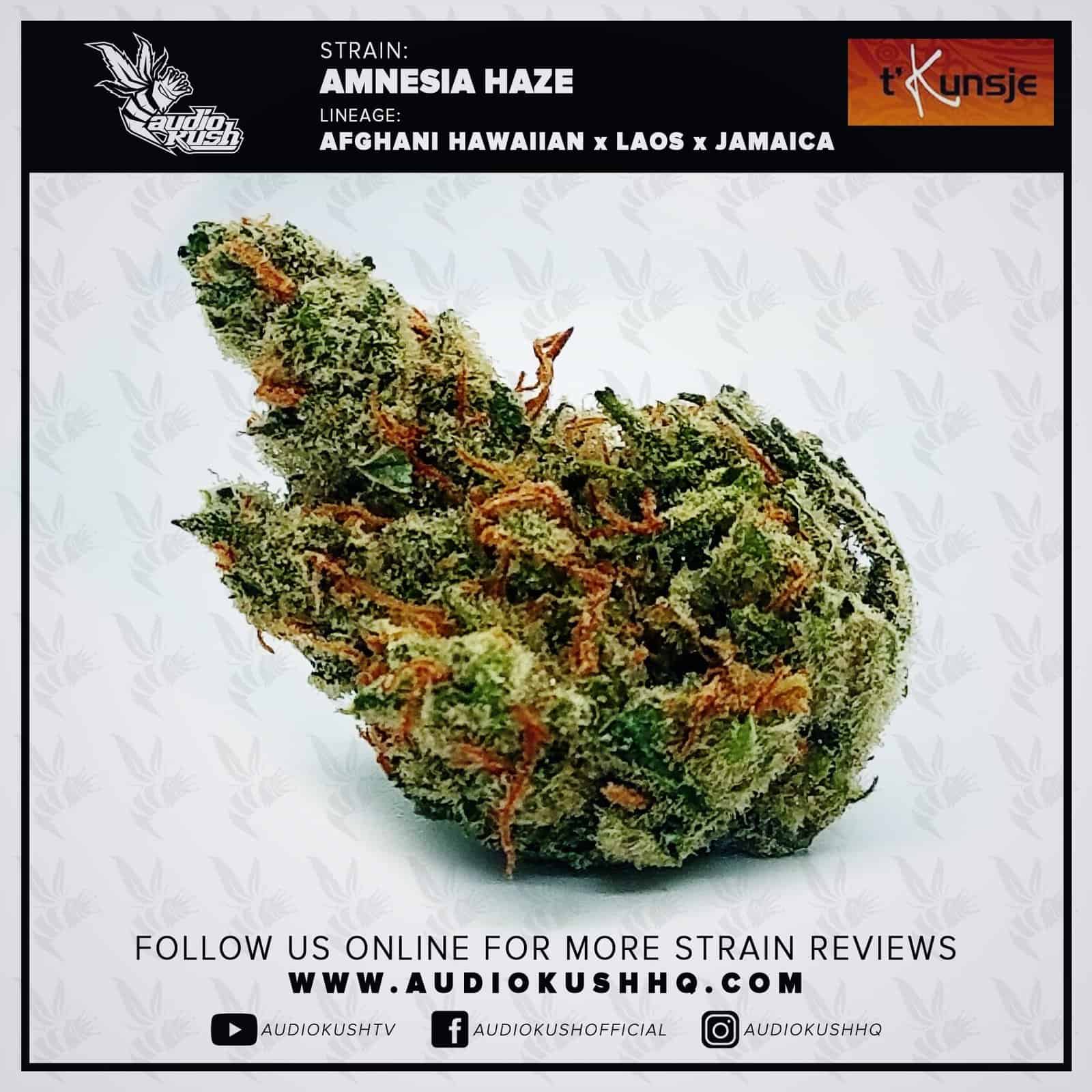 Amnesia Haze, Coffeeshop 't Kunsje, Nijmegen