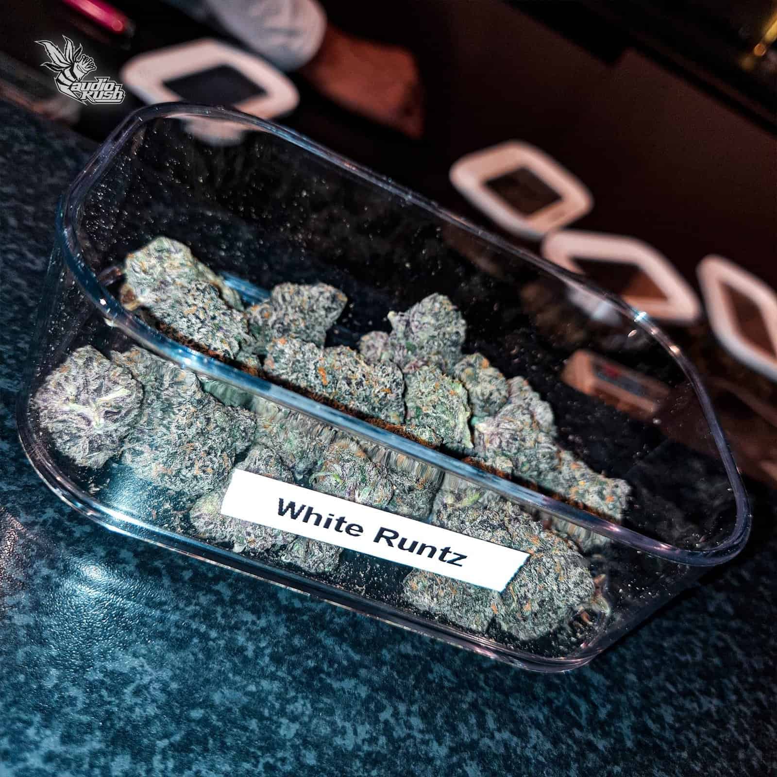 White Runtz - Coffeeshop Het Gelderse