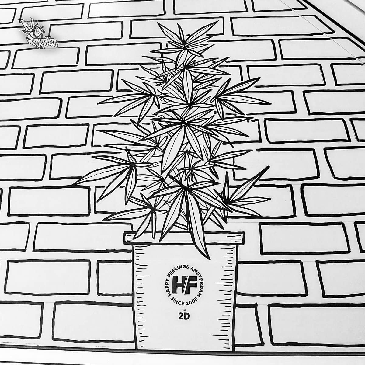 Amsterdam - Happy Feelings - New 2d Coffeeshop Experience Inside 4