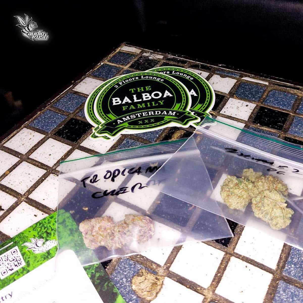 Amsterdam - The Balboa Family - Bud and Stickers-min
