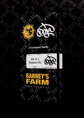 Vegan feminized Banana OG cannabis seed packaging by Barney's Farm, high-quality seed for cannabis cultivation, robust and premium cannabis genetics.