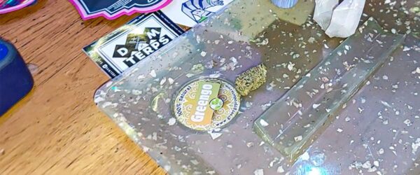 Contribute to a sustainable future with Greengo