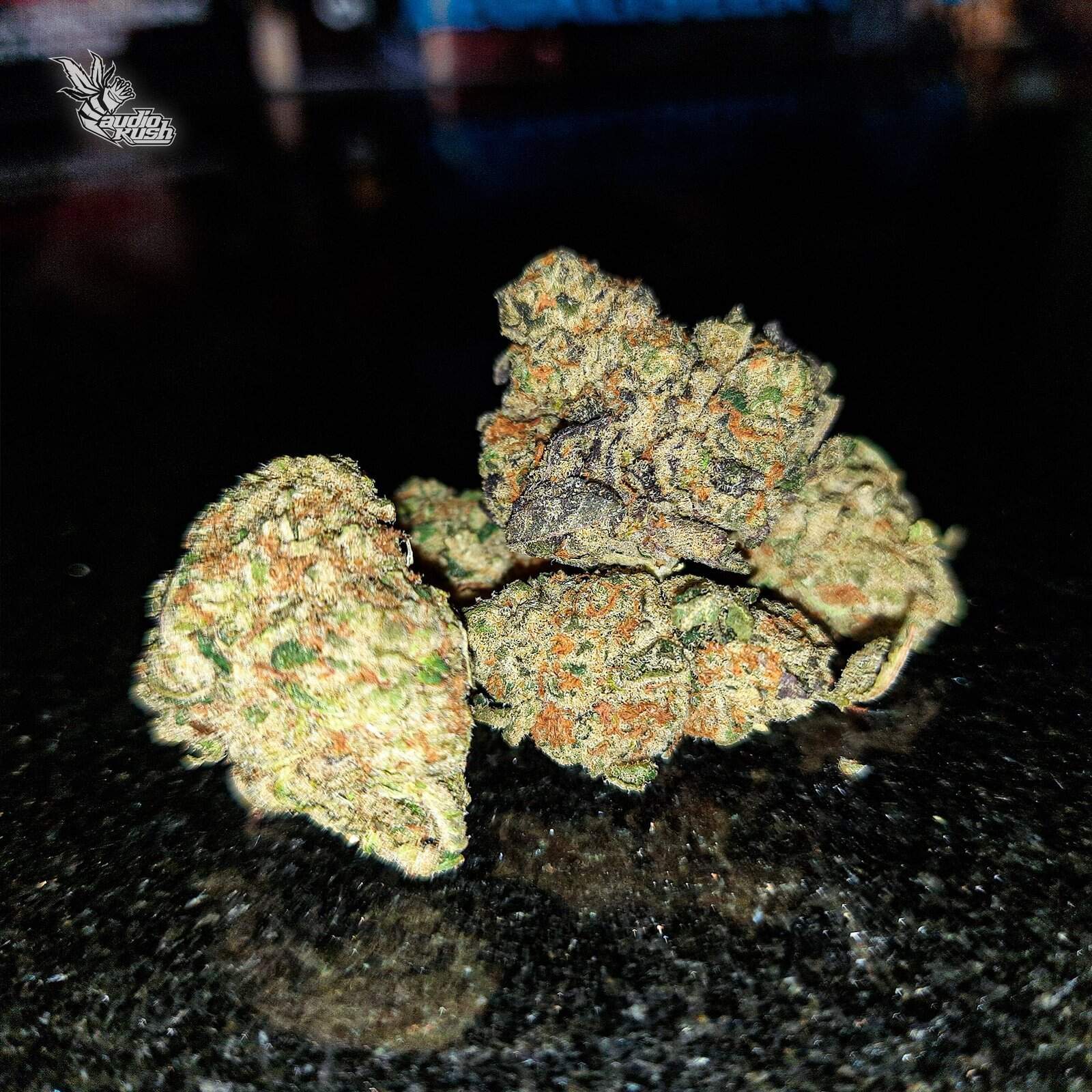 Cookies Gelato - Coffeeshop Magic