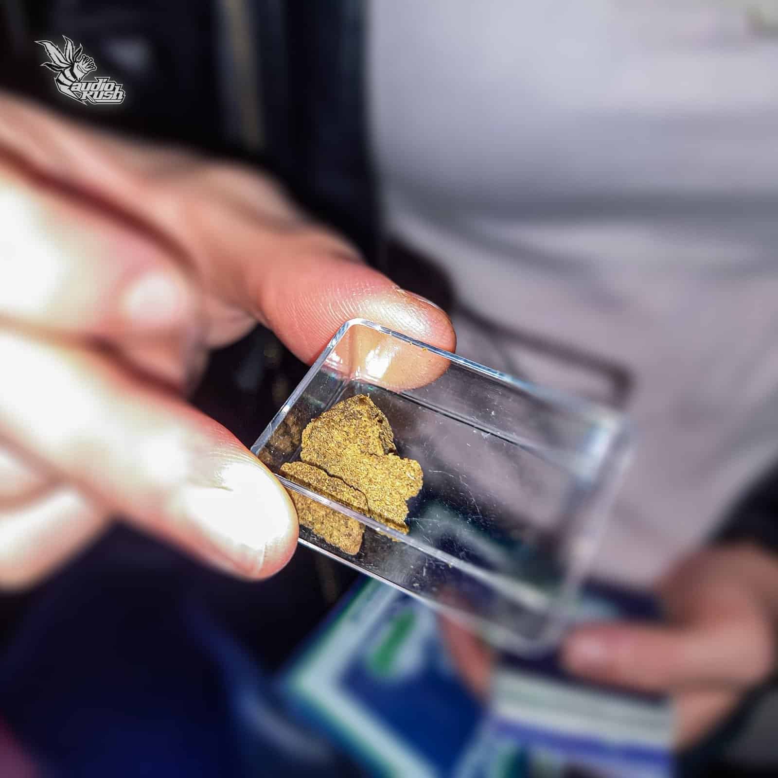 Mr. Sticky Fingers - Coffeeshop Magic