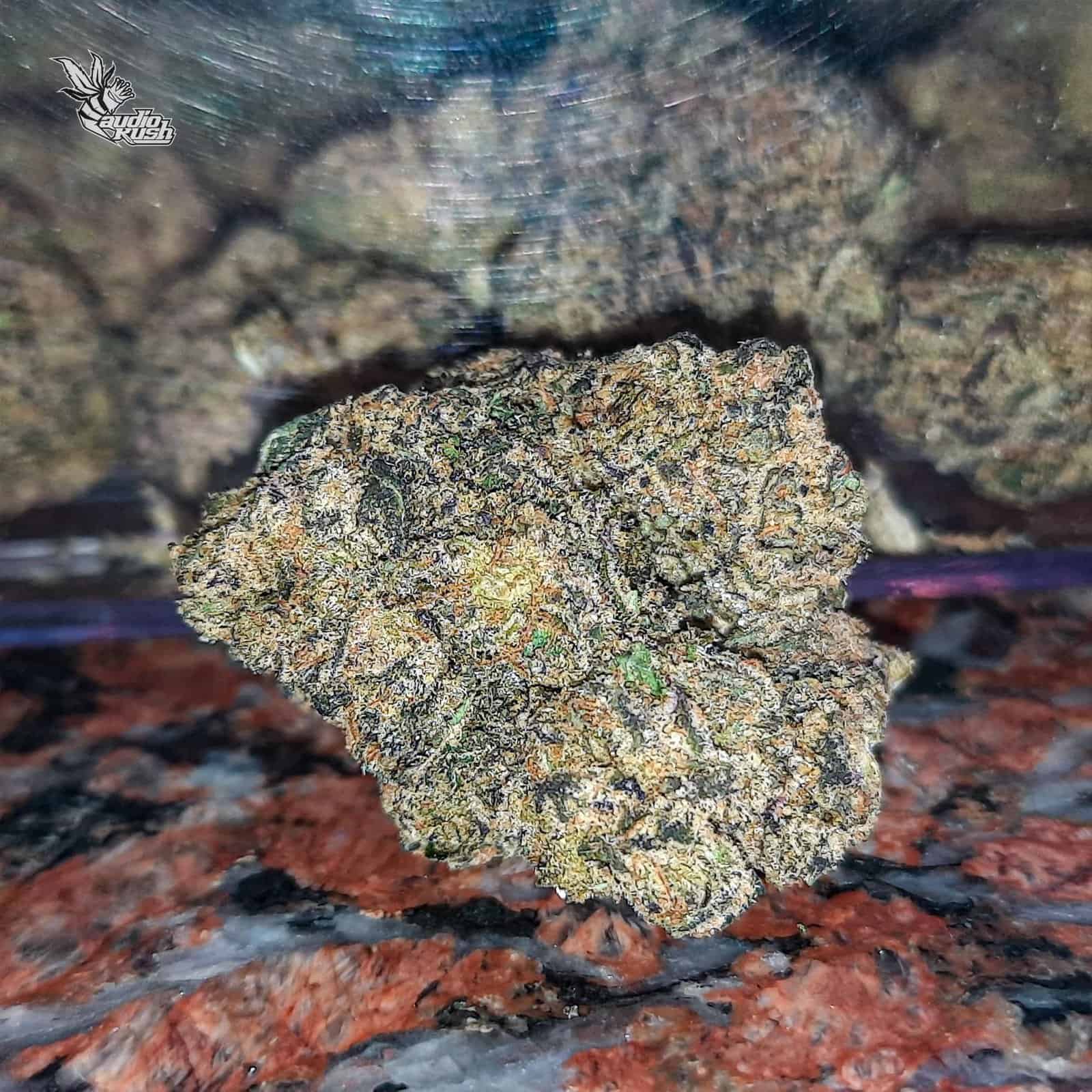 Jokers - Coffeeshop The Box