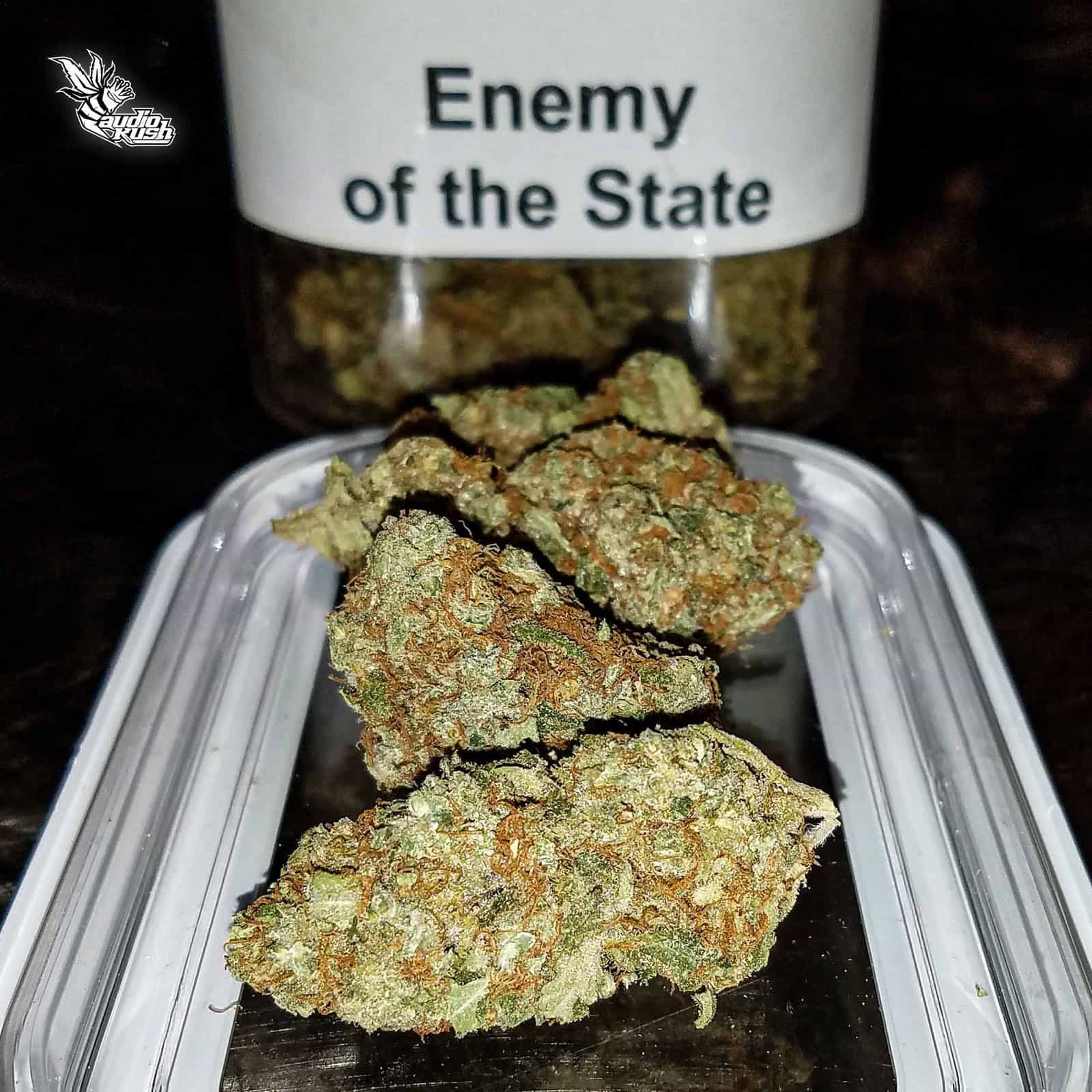 Enemy Of The State - Coffeeshop The Dolphins - Dec 31 2020