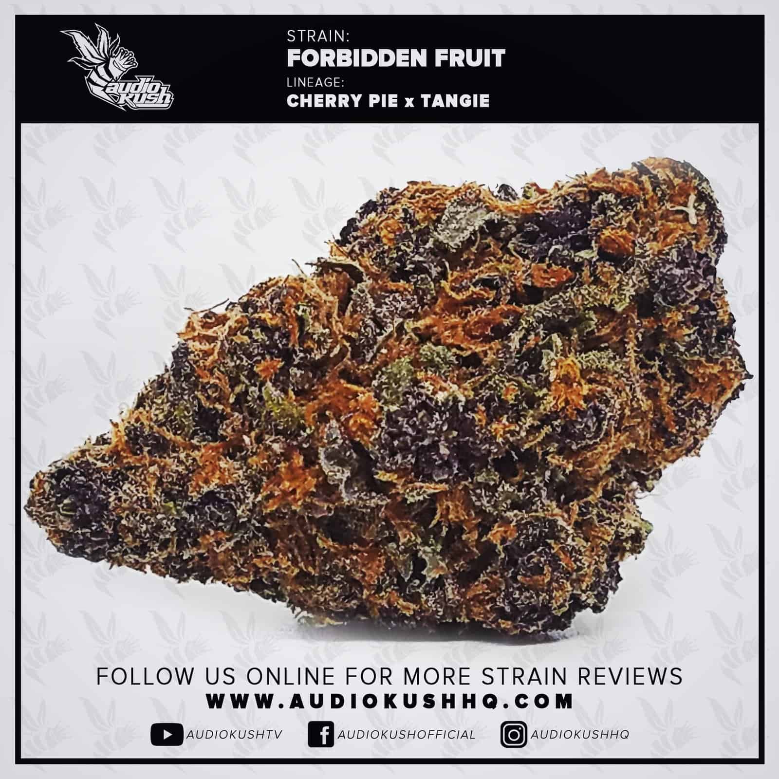 Forbidden Fruit, California Strain