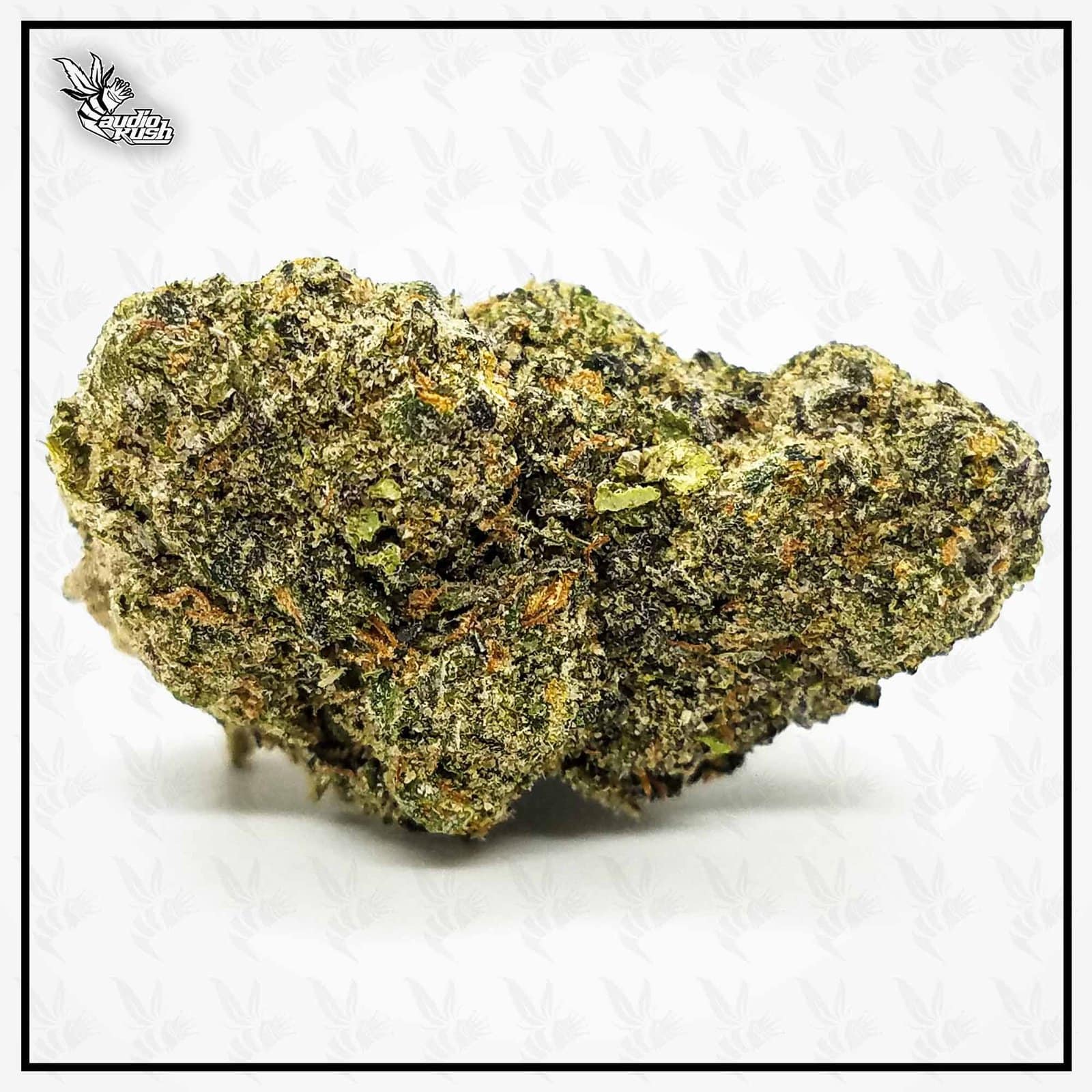 Gelato 41 - Coffeeshop Papillon - Dec 13 2020