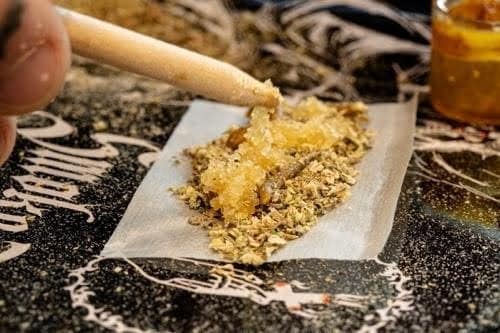 Golden cannabis concentrate being dabbed on parchment paper with a dab tool, highlighting cannabis extraction and concentrates for medical and recreational use.