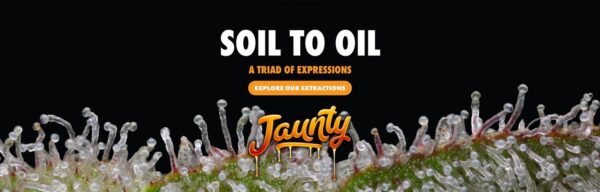 Jaunty Banner Rectangle