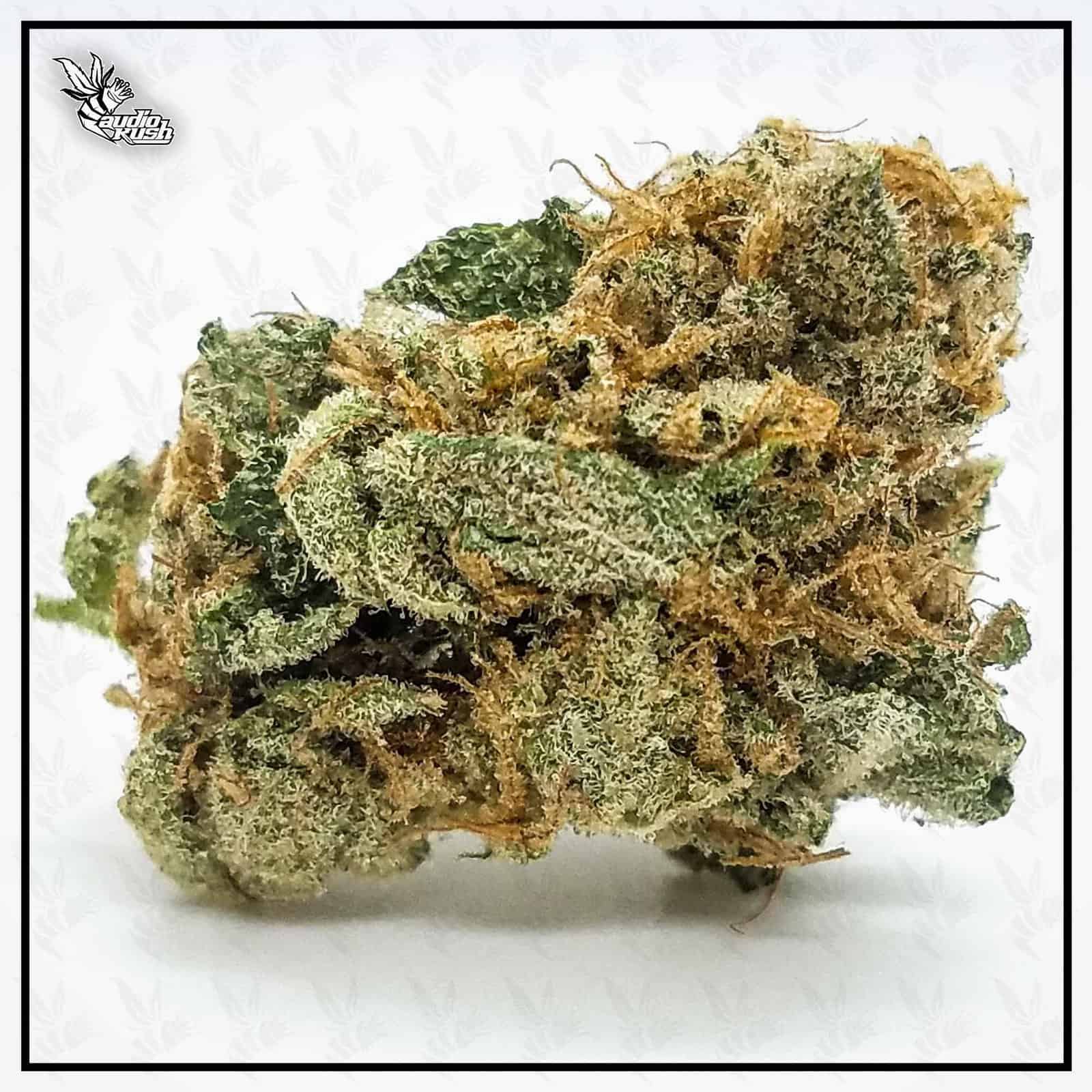 Kush Mints - Coffeeshop Popeye - July 25 2020