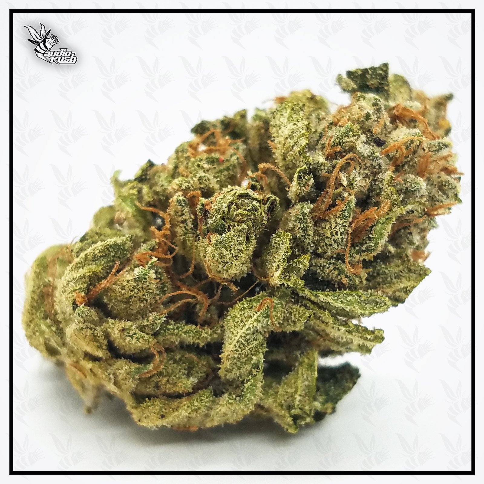 Larry OG Kush - Coffeeshop Original Dampkring - October 25 2020 bigger