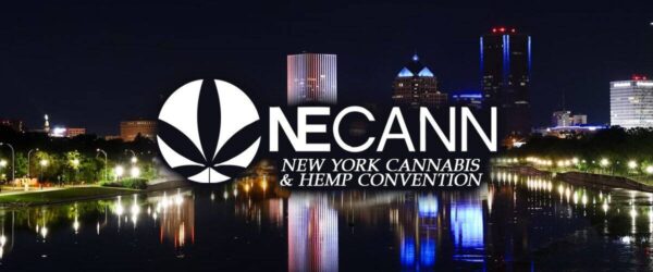 Vibrant night skyline of New York City reflecting on the water with the NECAN logo for the New York Cannabis & Hemp Convention overlaid, promoting cannabis industry events.