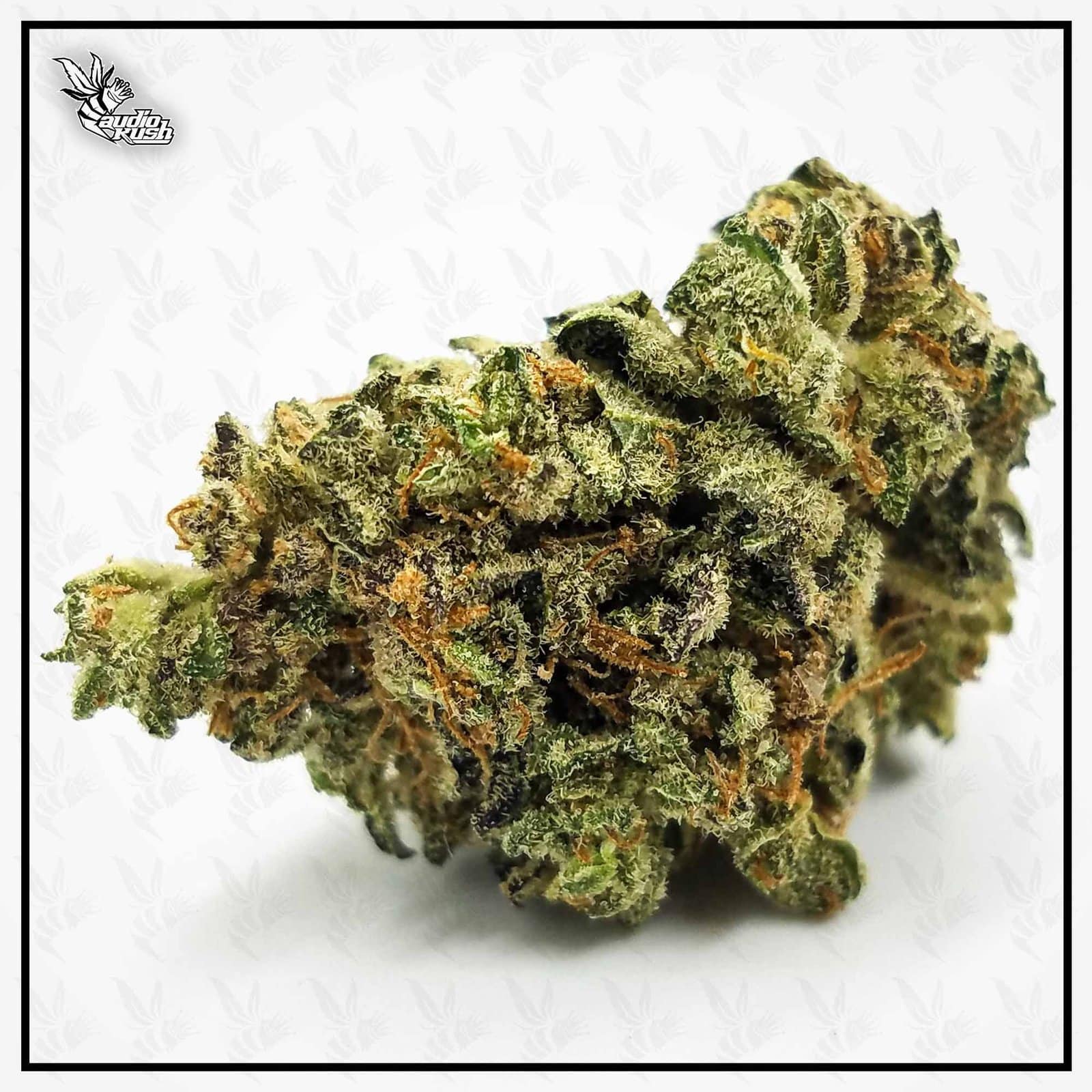 Pineapple Express - Coffeeshop De Kroon - December 2020 - Jack Herer Cup Entry