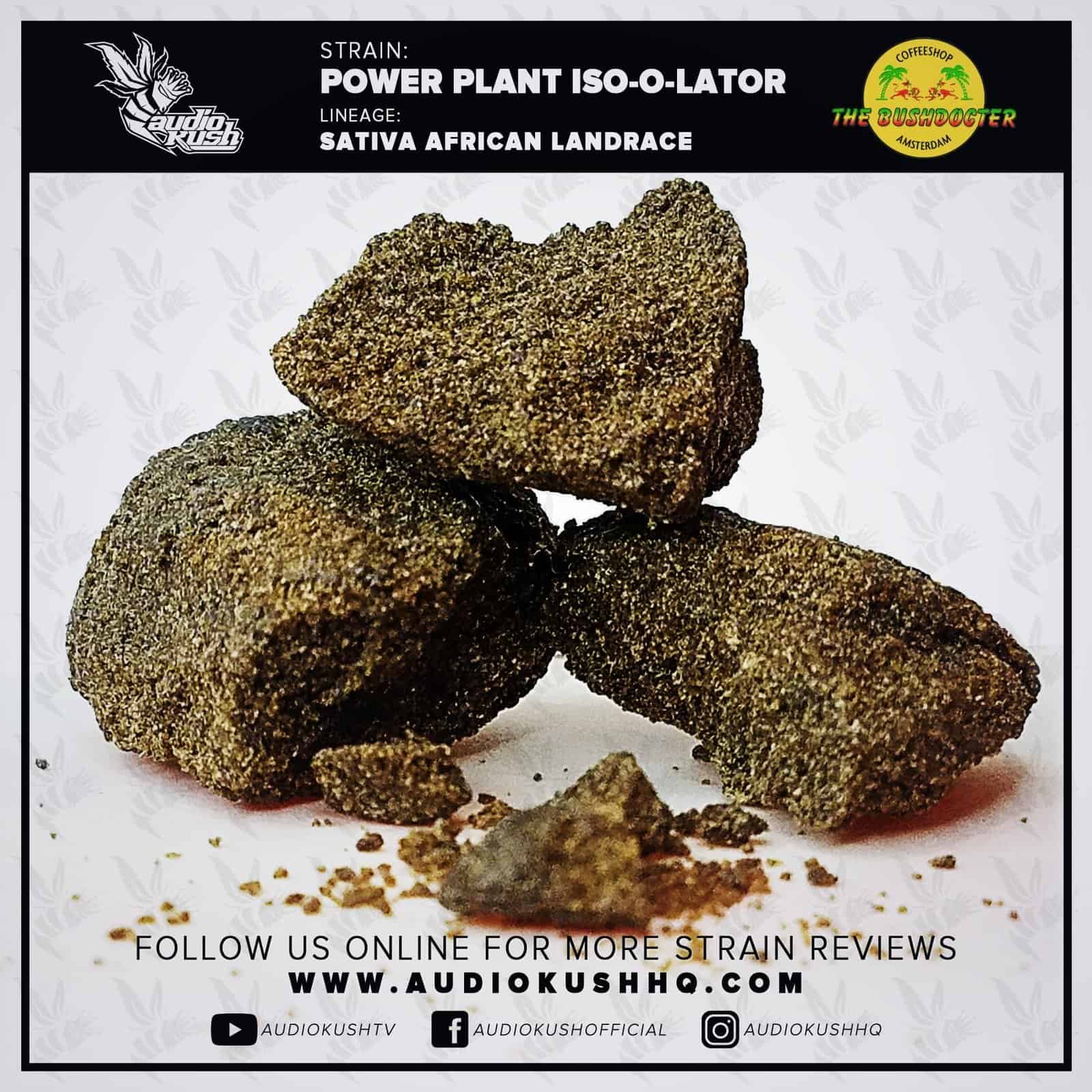 Powerplant Hash, Coffeeshop Bushdocter, Amsterdam