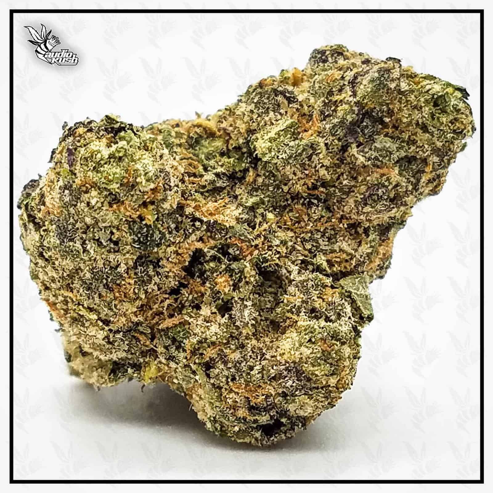 Runtz - Coffeeshop Papillon - Dec 2020 - Jack Herer Cup Entry