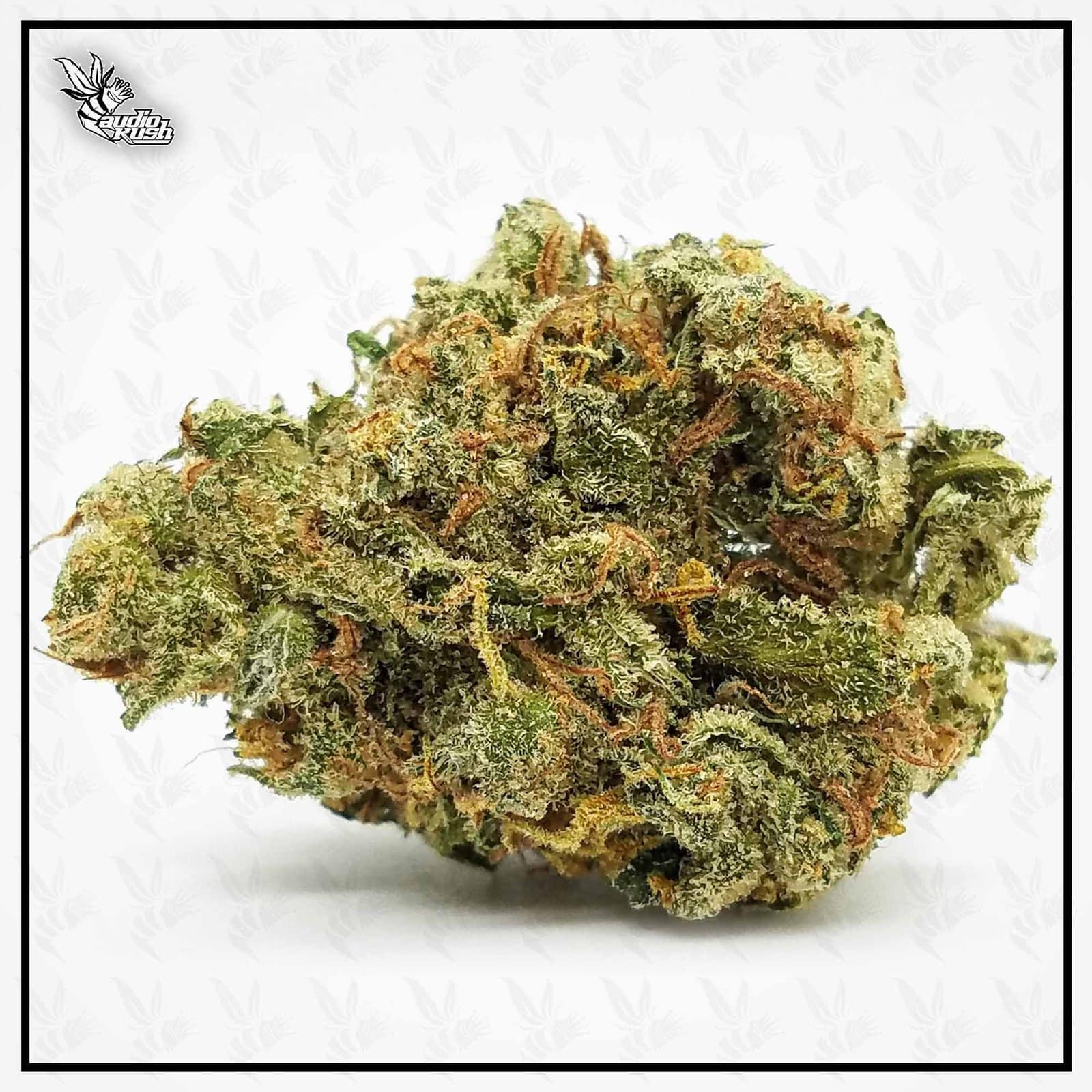 Silver Haze - Coffeeshop D&L - Nov 21 2020