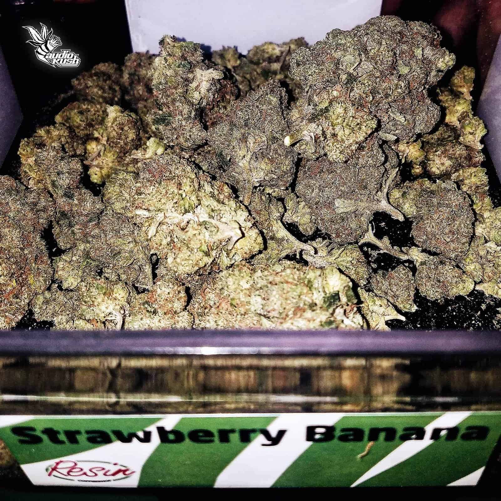 Strawberry Banana Kush Strawnana - Coffeeshop Resin - Mar 30 2020