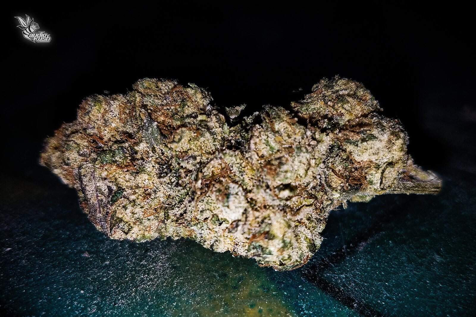 Last month we traveled to Coffeeshop Bushdocter with Purpl Pro to test cannabis potency with Purpl Pro by Purpl Scientific. We tested White Runtz Runtz.