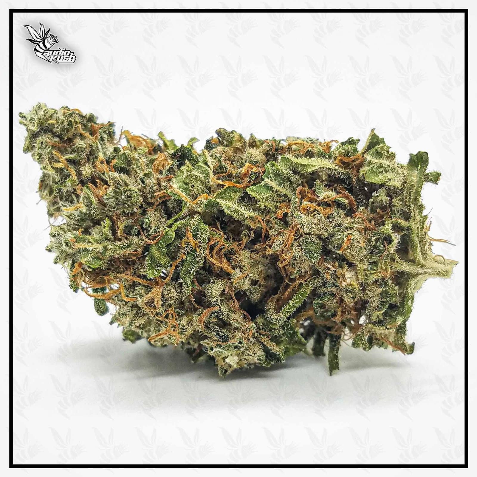 White Widow - Coffeeshop Bulldog - Nov 1 2020