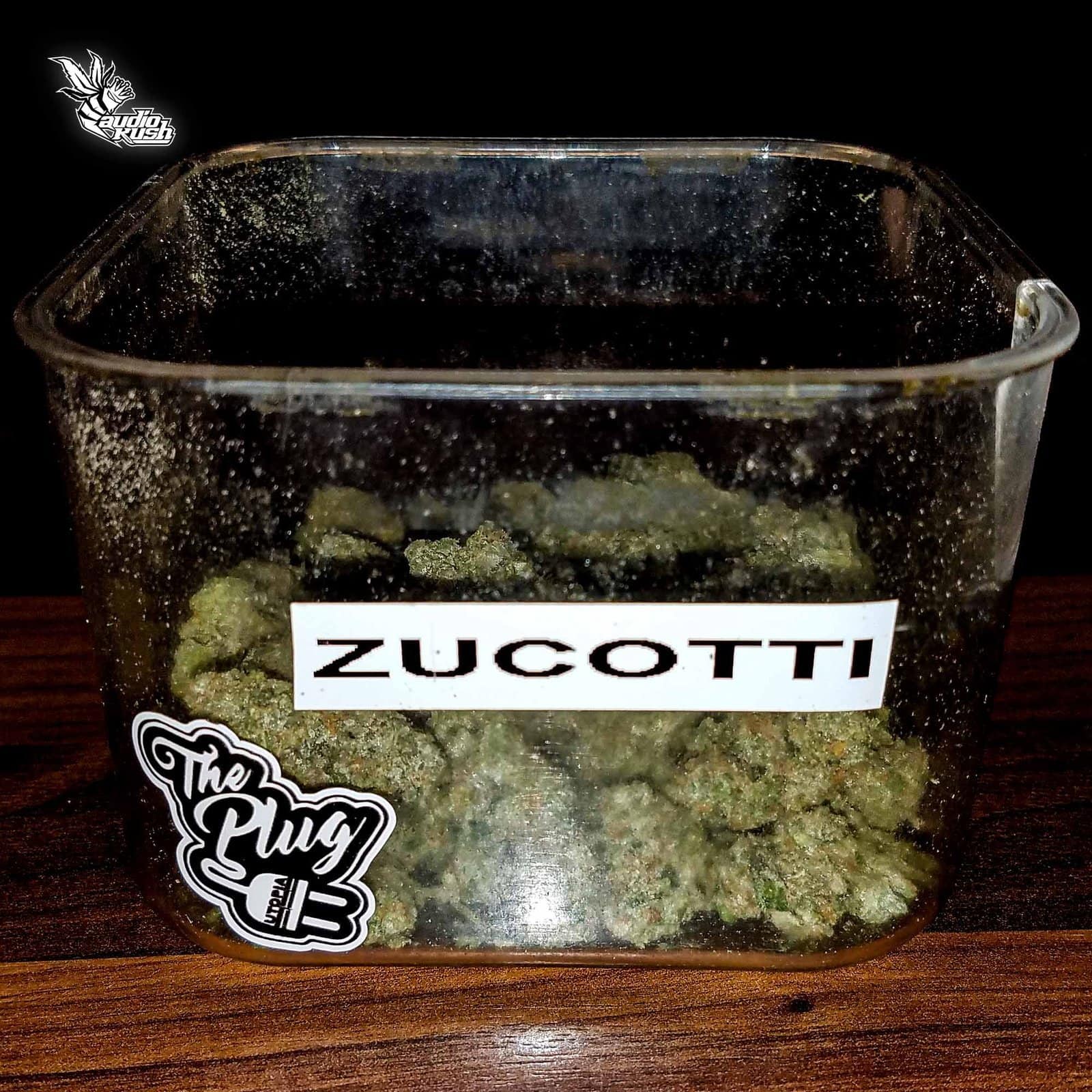 Zucotti - Coffeeshop The Plug - Dec 31 2020