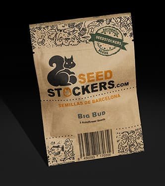 Seed Stockers Big Bud Autoflower packaging