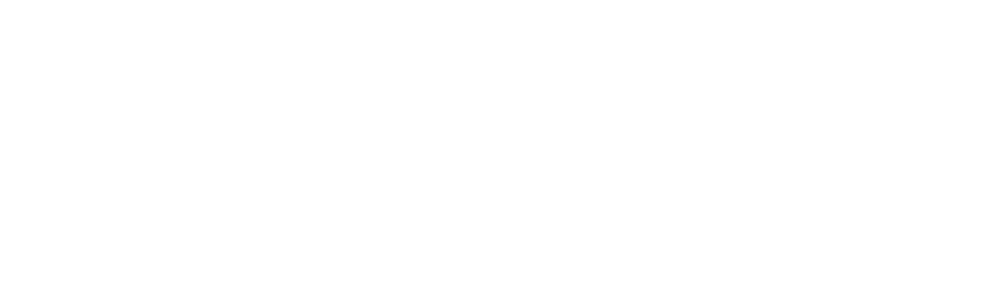 Logo featuring leaf and text, 'NECANN'