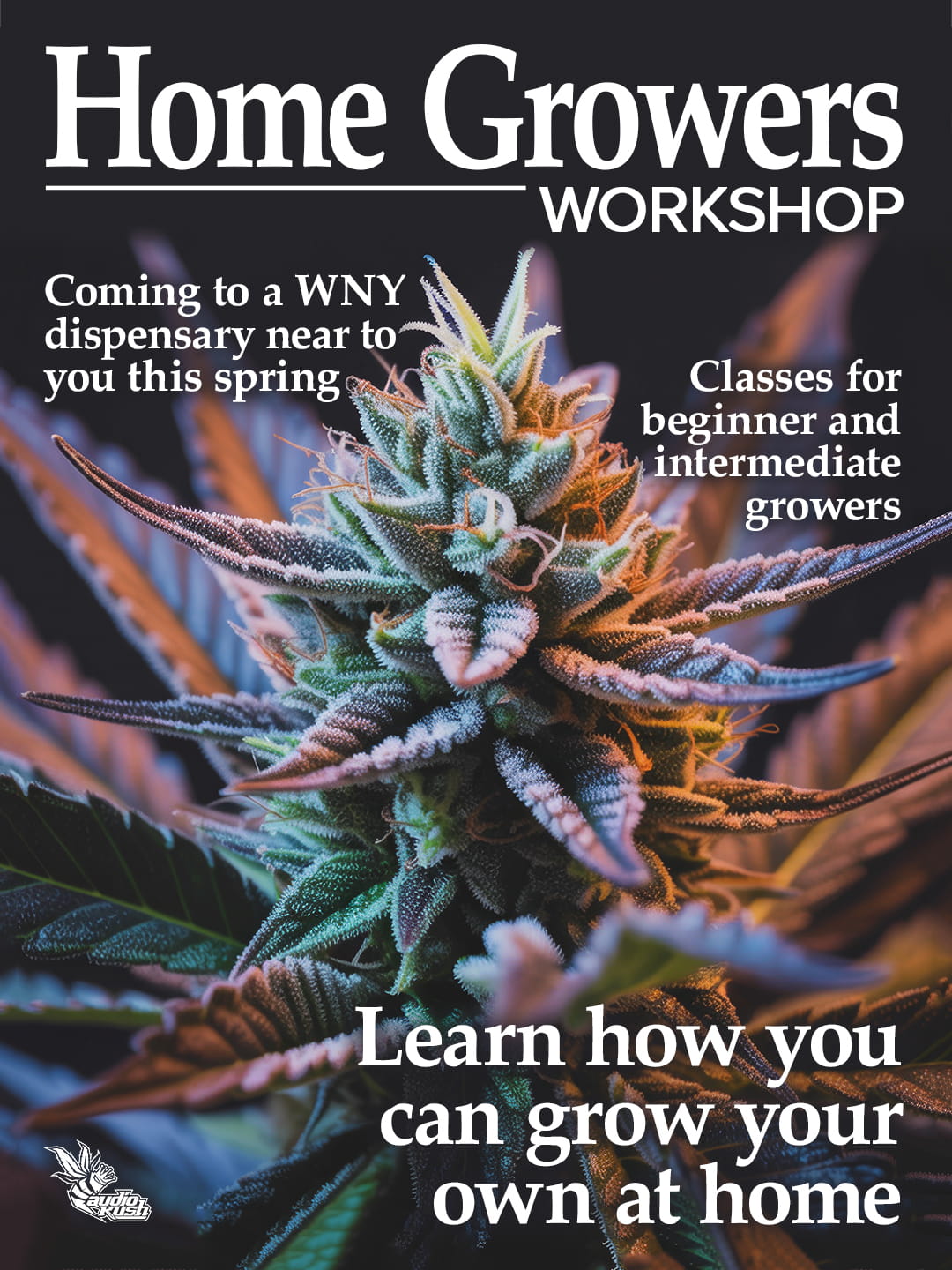 Cannabis workshop advertisement for growers