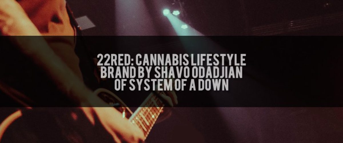 22Red-Shavo-Odadjian-of-System-Of-A-Down
