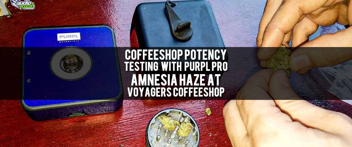 Blog-Cover-Amneisa-Haze-Potency-Test-at-Coffeeshop-Voyagers