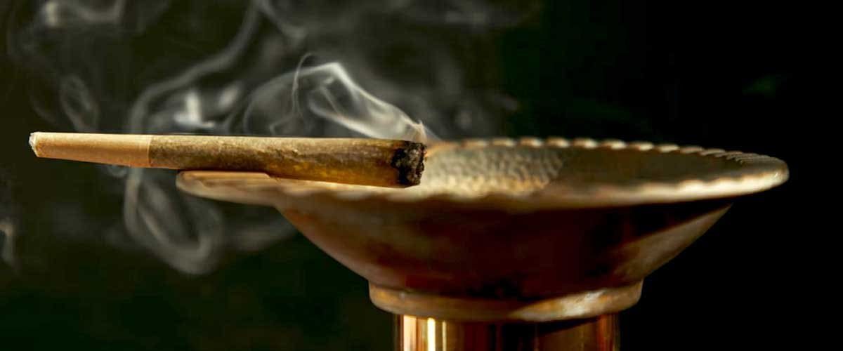 Blog-Cover-Image-Cannabis-Consumption-With-Mascotte