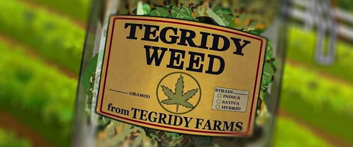 Blog-Cover-Image-Real-Life-Tegridy-Weed