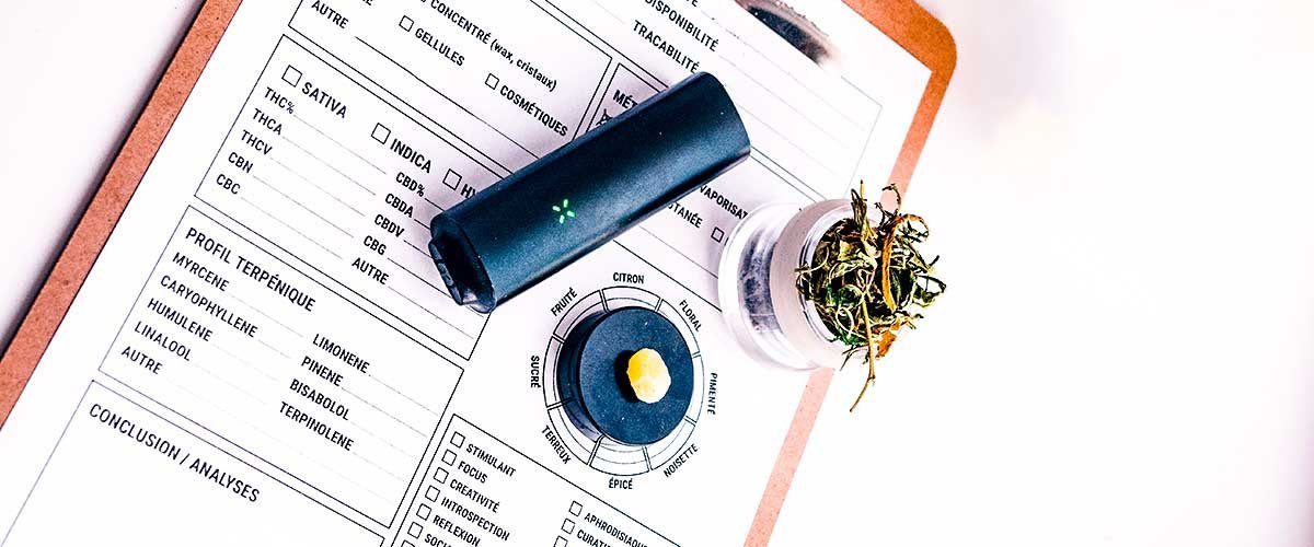 Top 7 Reasons Why Users Prefer Dry Herb Vaporizers Over Smoking