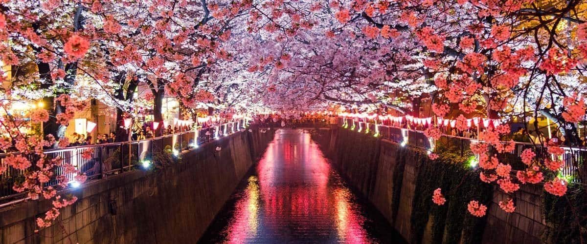 Blog-Feature-japan-medical-cannabis