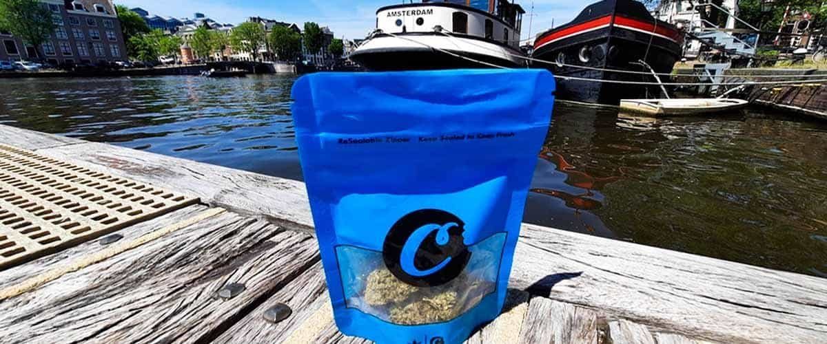 Blog-Featured-Image-Cookies-Comes-To-Amsterdam