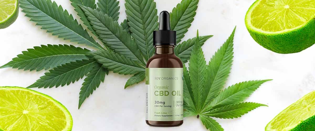 Blog-Featured-Image-Joy-Organics-CBD-Full-Spectrum-Tincture-Lime-Review