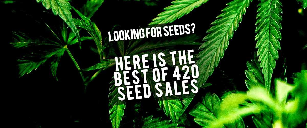 Blog-Title-Featured-Image-Best-Of-420-Seed-Sales-