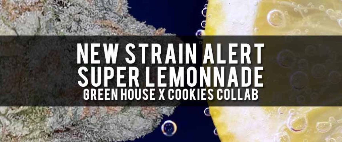 Blog-Title-Template-super-lemonnade