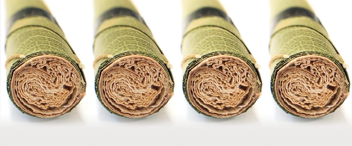 Corn husk smoking filters audiokush