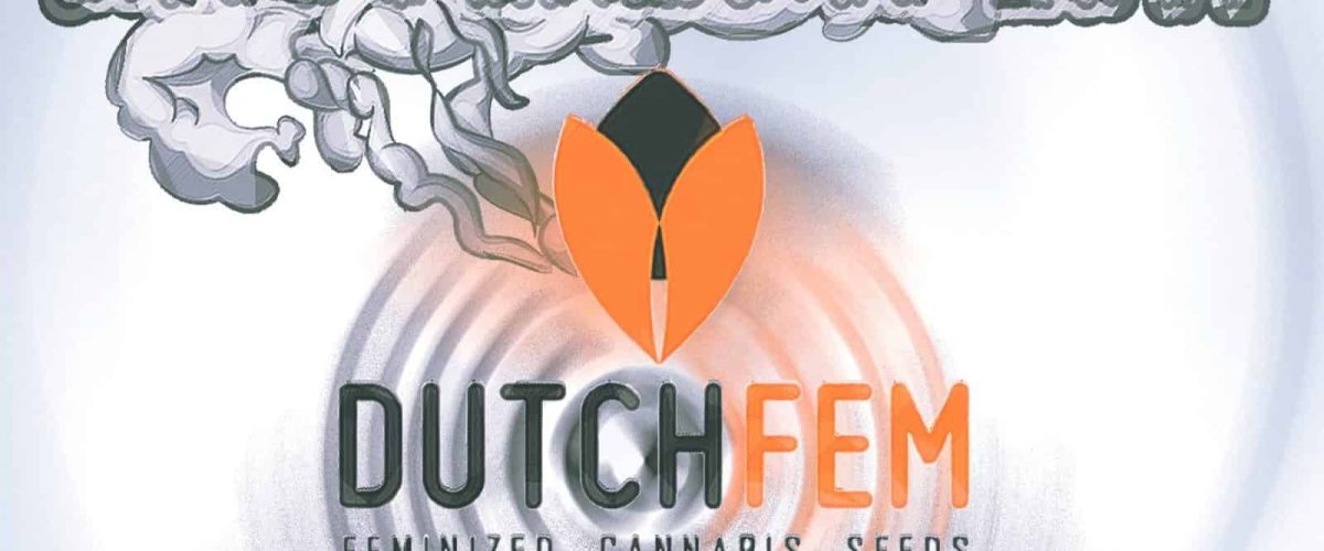 DUTCH-FEM-420
