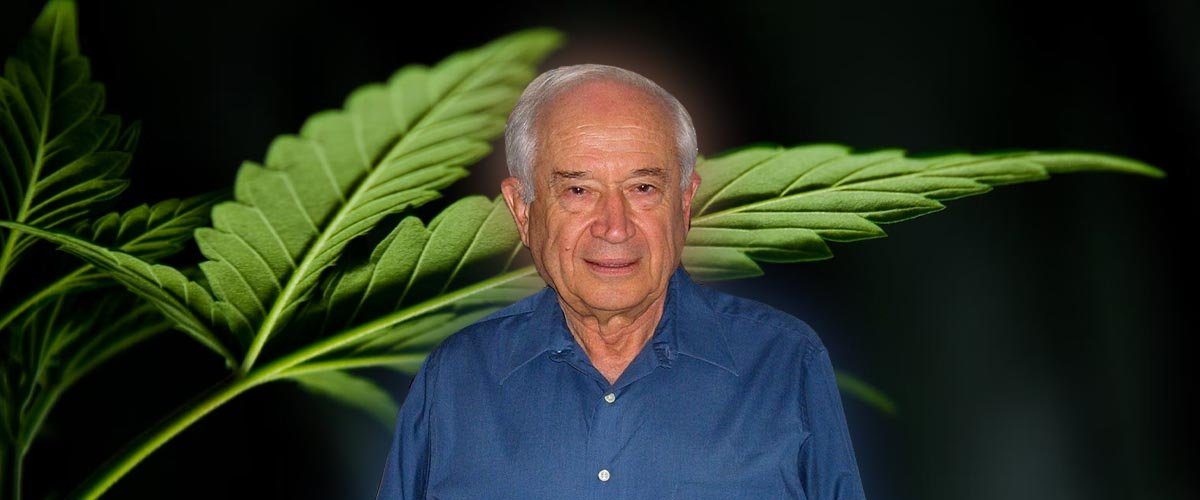 Father-of-cannabis-research-Raphael-Mechoulam-dies-at-92-1