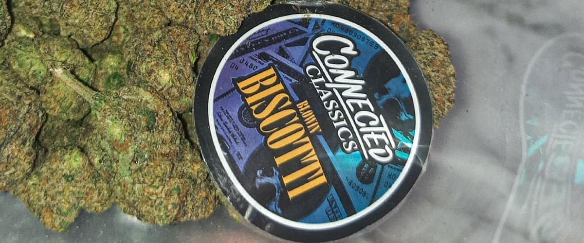 Feature-img-connect-blowin-biscotti