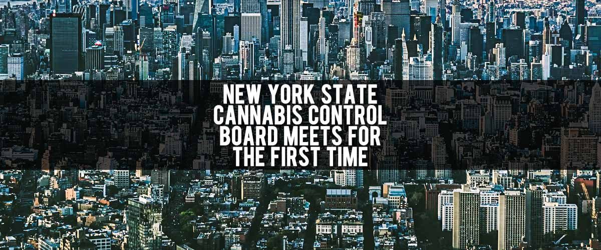 Major reforms to NY's current medical marijuana program
